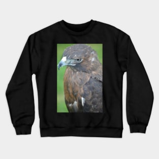 Gazing Out Crewneck Sweatshirt